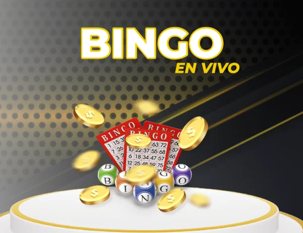 Bingo