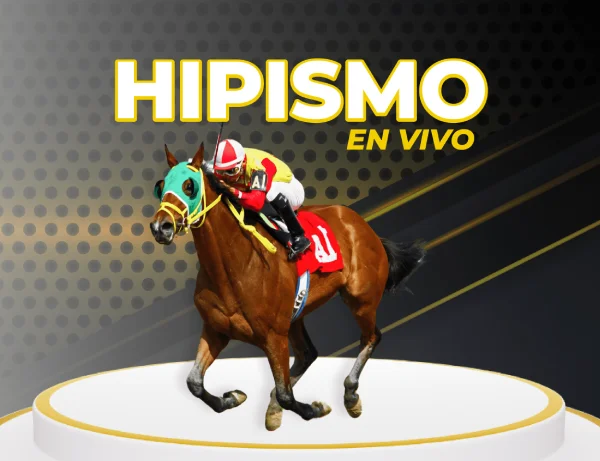 Hipismo